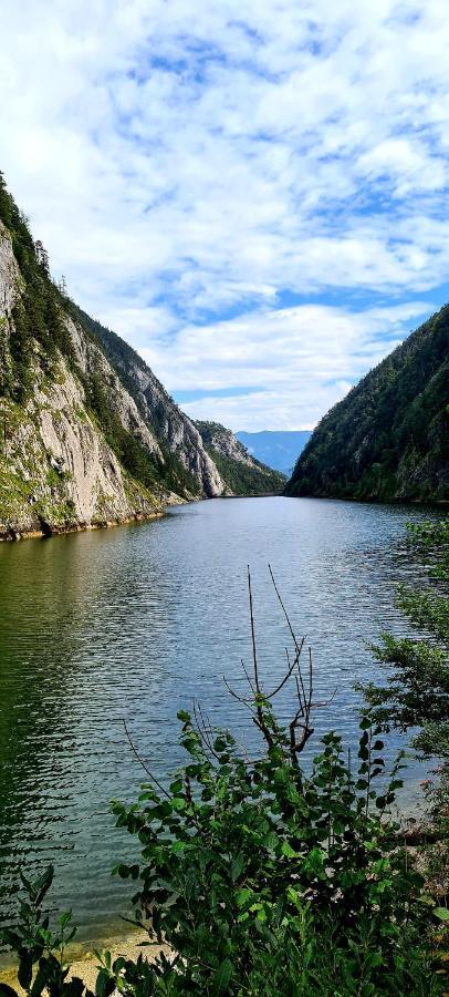 Ferienwohnungen Bergpanorama Бад-Миттерндорф Экстерьер фото